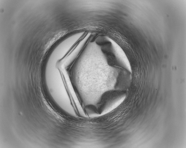 X0000086970734200705141650