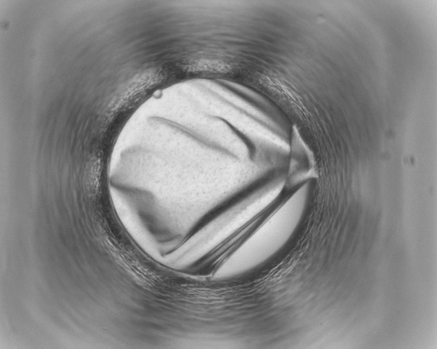 X0000086970735200705141650