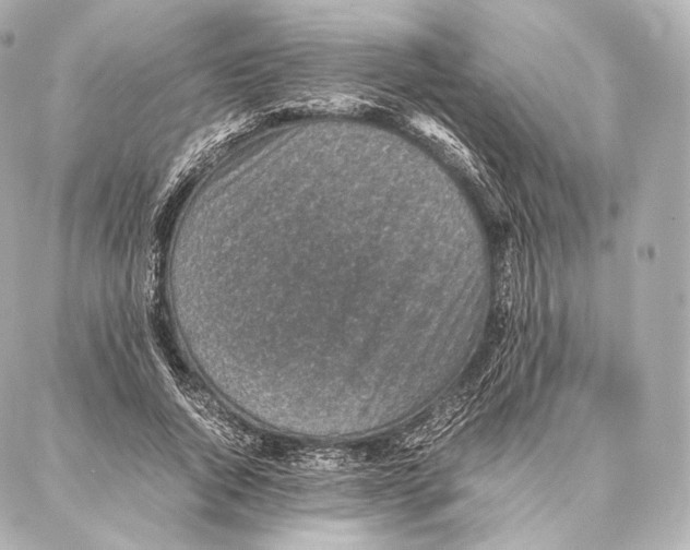 X0000086970736200705141650