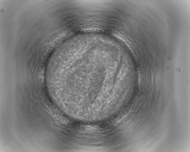 X0000086970737200705141650