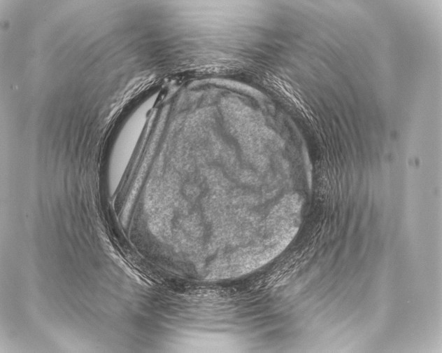 X0000086970738200705141650