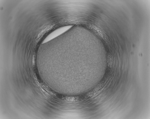 X0000086970740200705141650