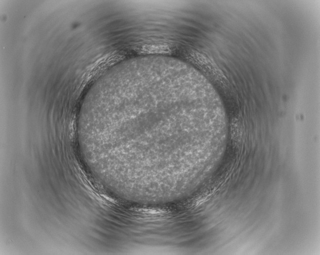 X0000086970741200705141650