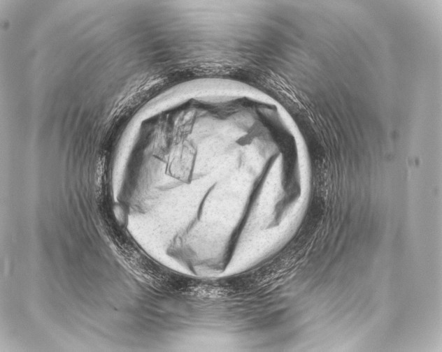 X0000086970742200705141650