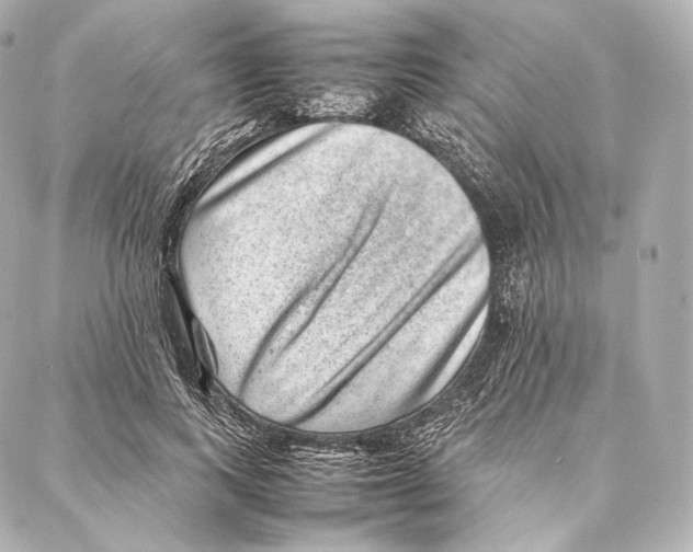 X0000086970743200705141650