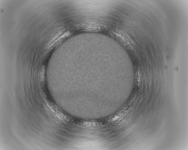 X0000086970744200705141650