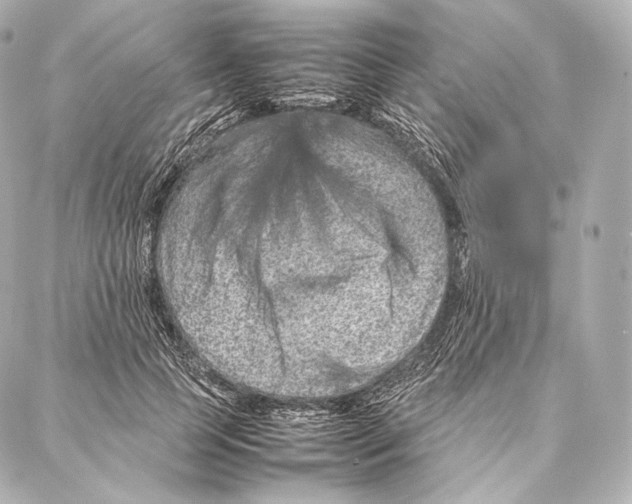 X0000086970745200705141650