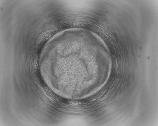 X0000086970746200705141650