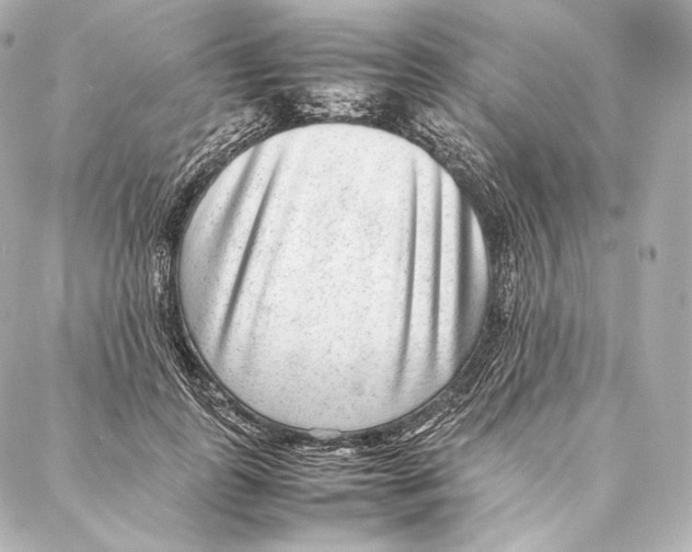 X0000086970747200705141650