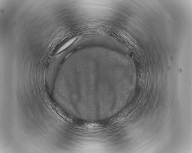 X0000086970748200705141650