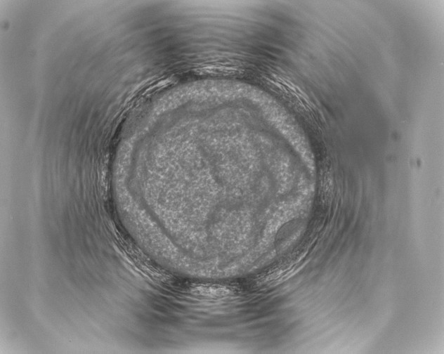 X0000086970749200705141650