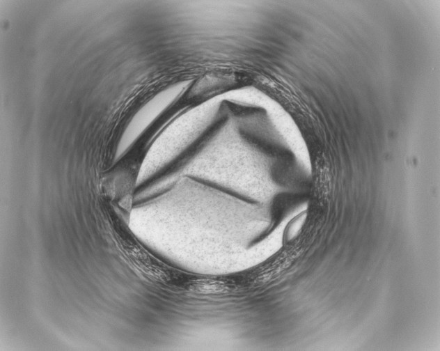 X0000086970750200705141650