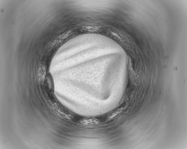 X0000086970752200705141650