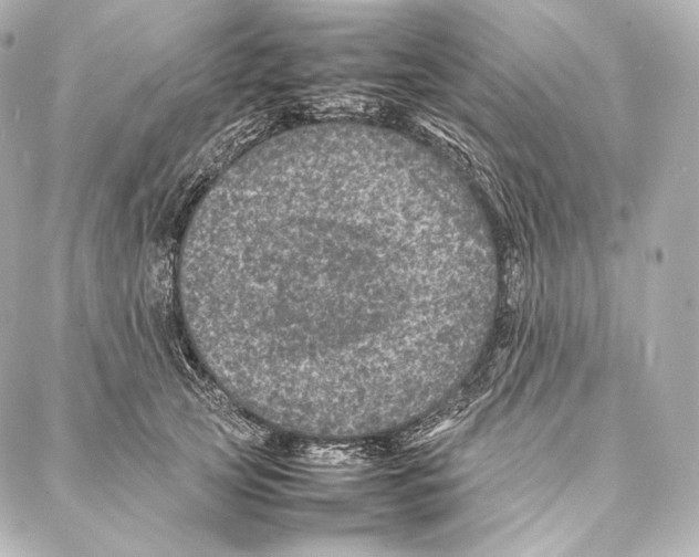 X0000086970753200705141650