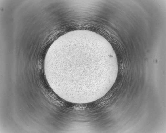 X0000086970756200705141650