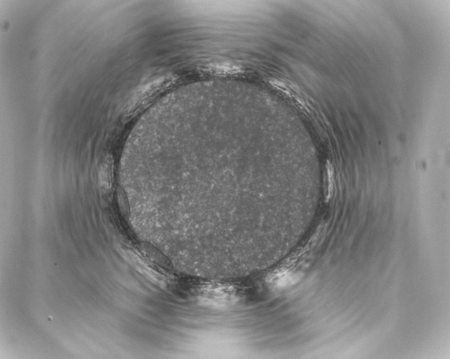 X0000086970760200705141651