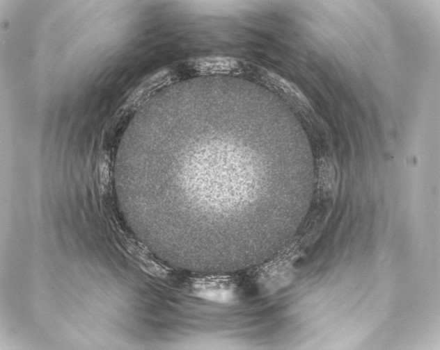 X0000086970761200705141651