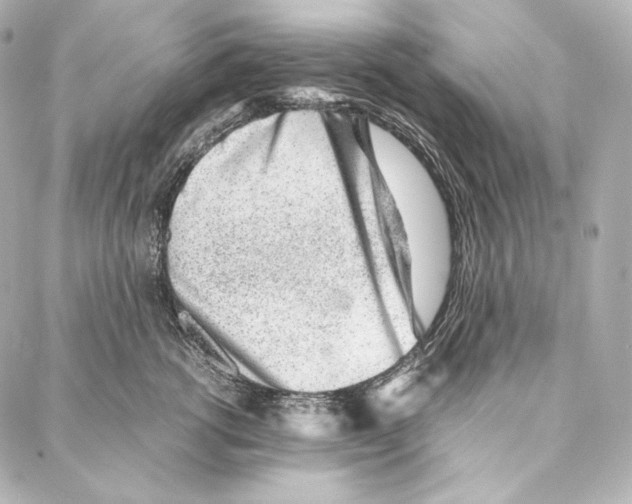 X0000086970762200705141651