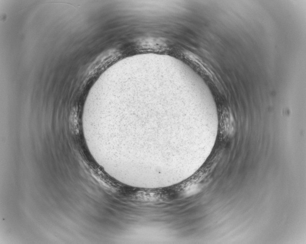 X0000086970764200705141651