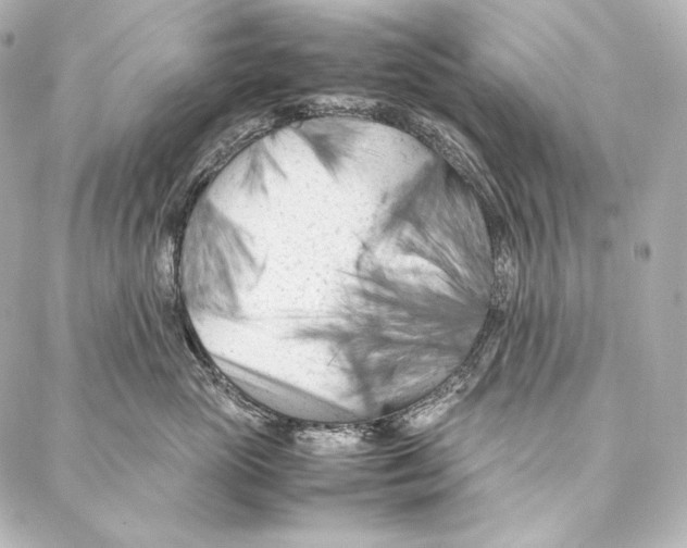 X0000086970765200705141651