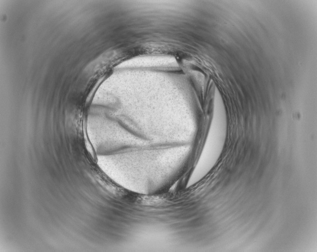 X0000086970766200705141651