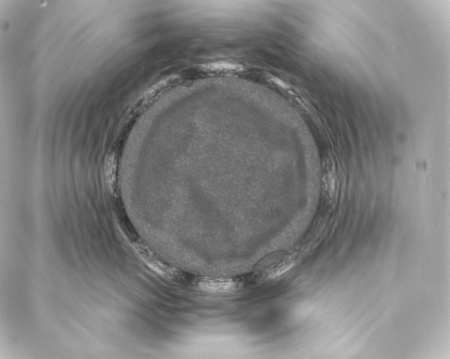 X0000086970767200705141651