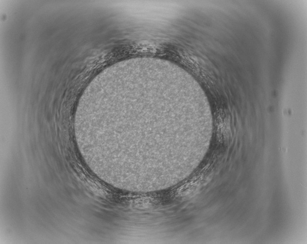 X0000086970769200705141650