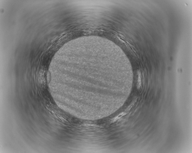 X0000086970770200705141650