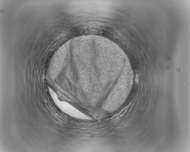 X0000086970771200705141650