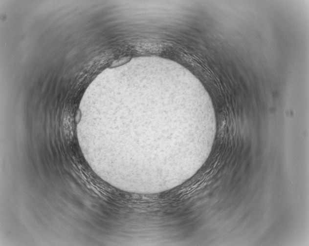 X0000086970772200705141650