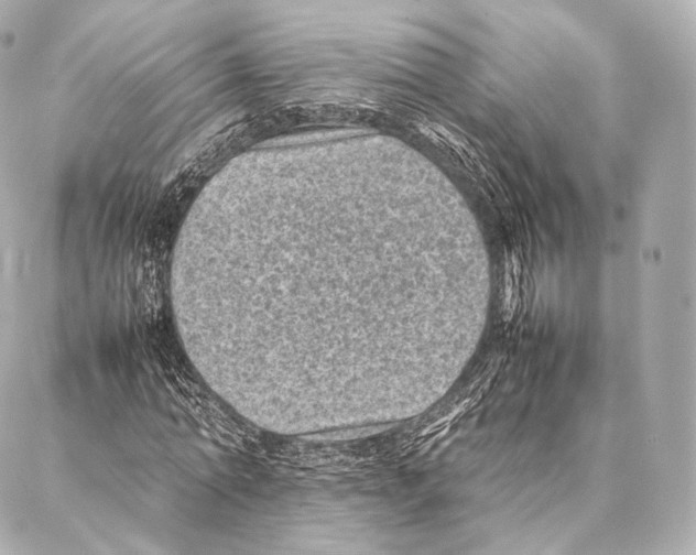 X0000086970774200705141650