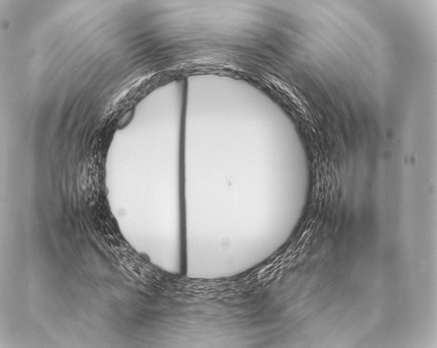 X0000086970776200705141650