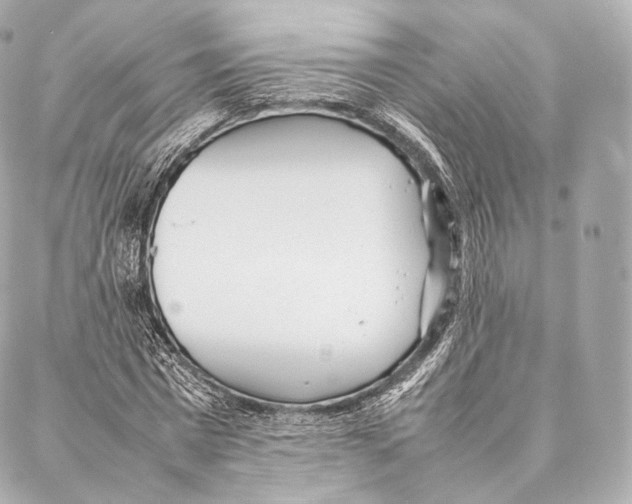 X0000086970777200705141650