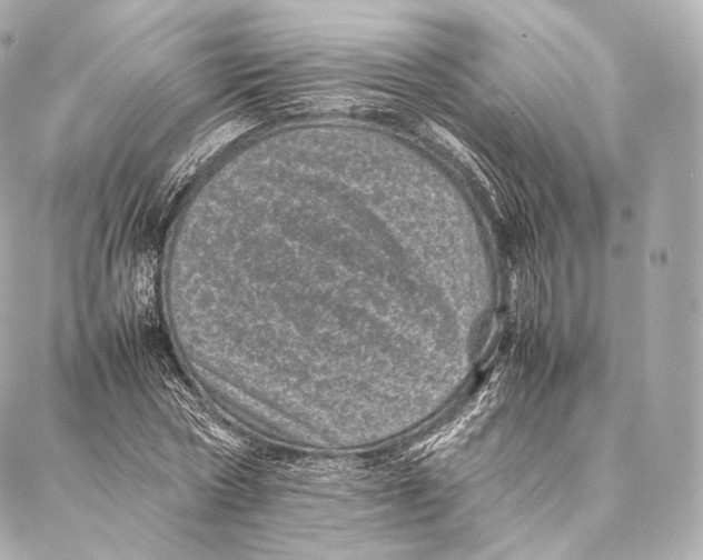 X0000086970778200705141650