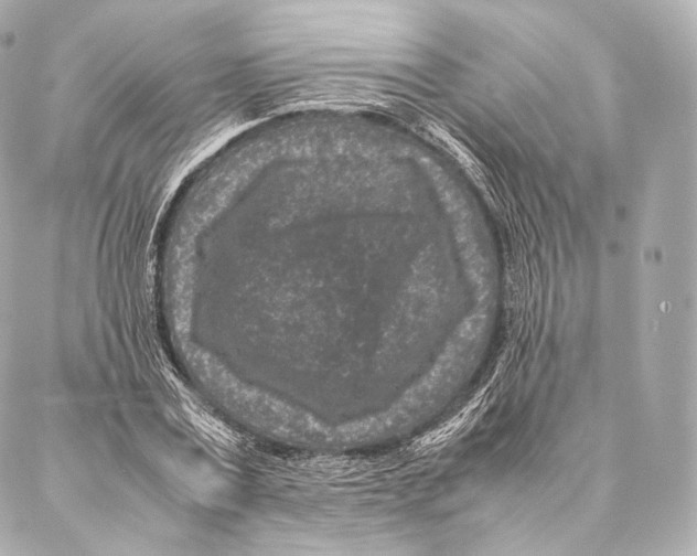 X0000086970779200705141650