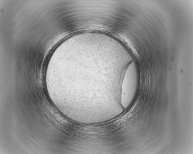 X0000086970780200705141650