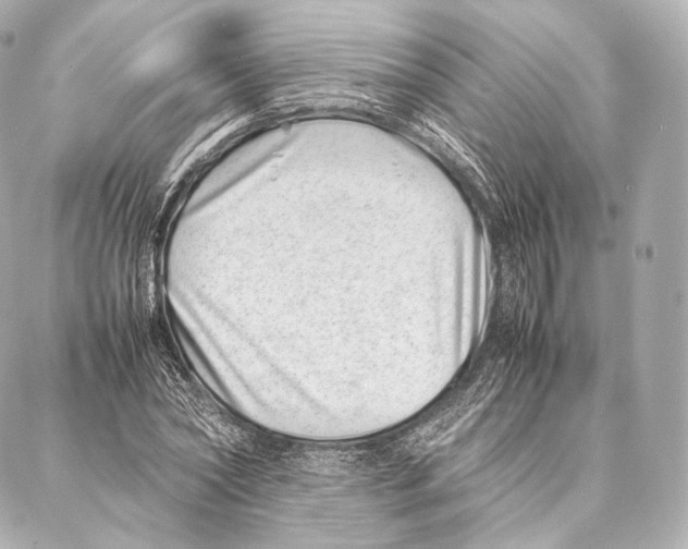 X0000086970782200705141650