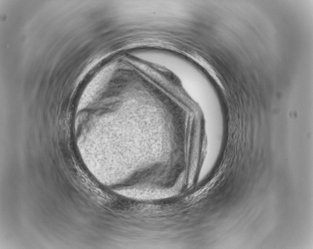 X0000086970783200705141650