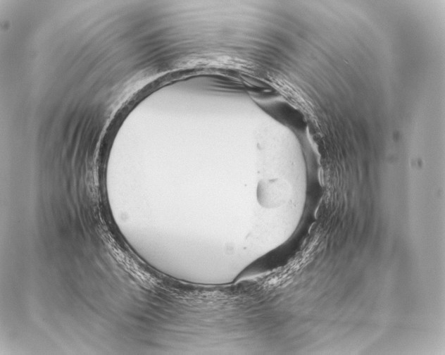 X0000086970784200705141650