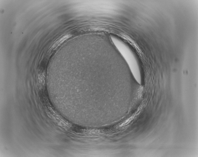 X0000086970785200705141650