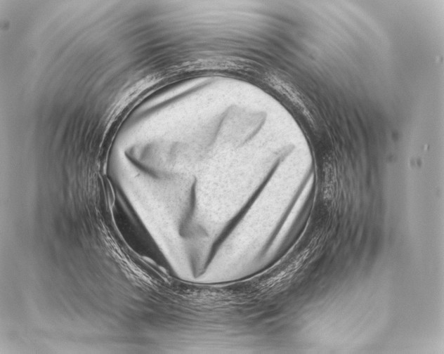 X0000086970786200705141650