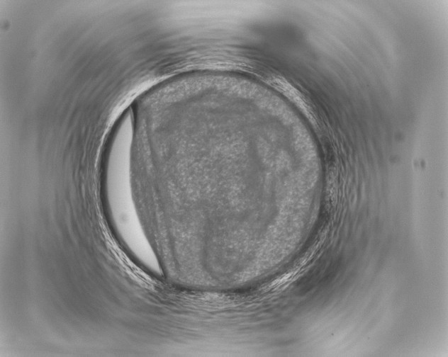 X0000086970787200705141650