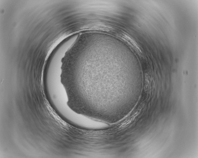 X0000086970788200705141650