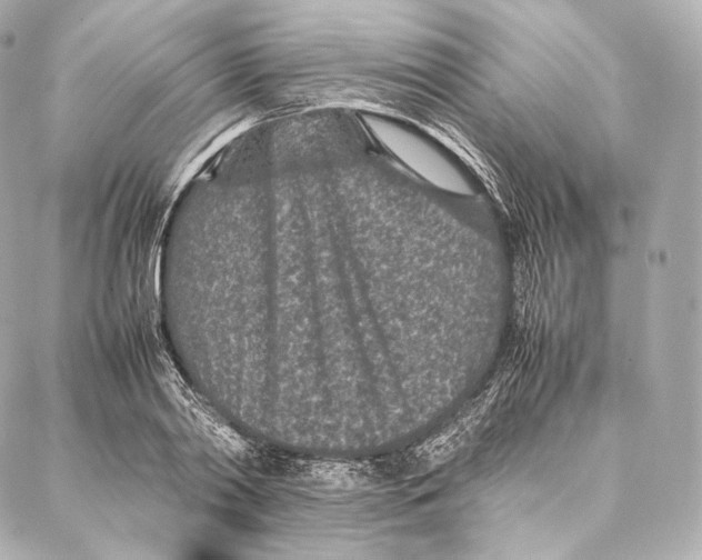 X0000086970790200705141650