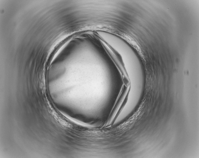 X0000086970792200705141649