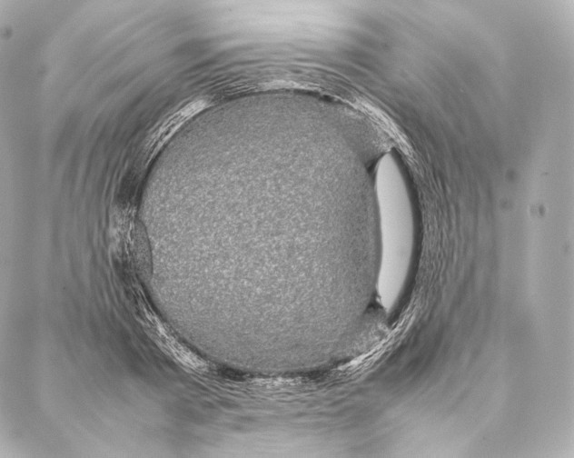 X0000086970793200705141649