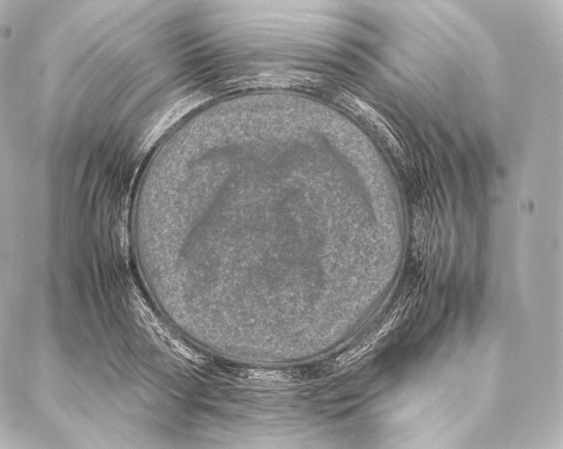 X0000086970794200705141649