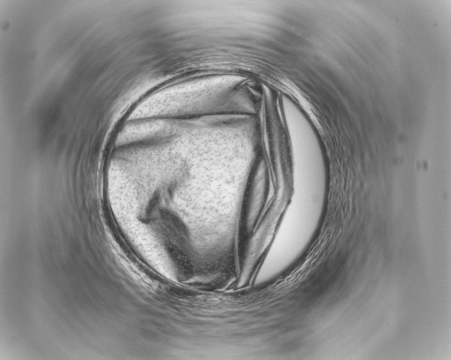 X0000086970795200705141649