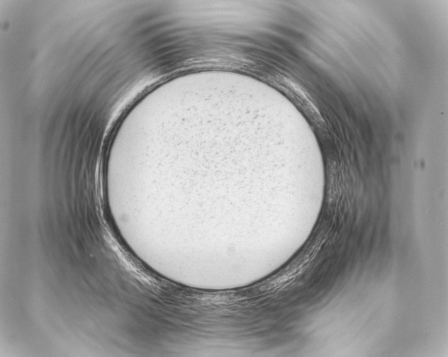 X0000086970796200705141649