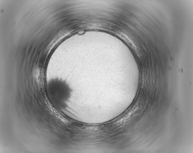 X0000086970798200705141649